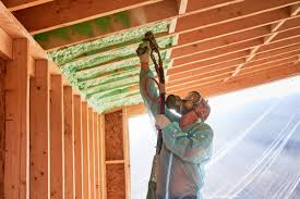 Best Eco-Friendly or Green Insulation Solutions in USA